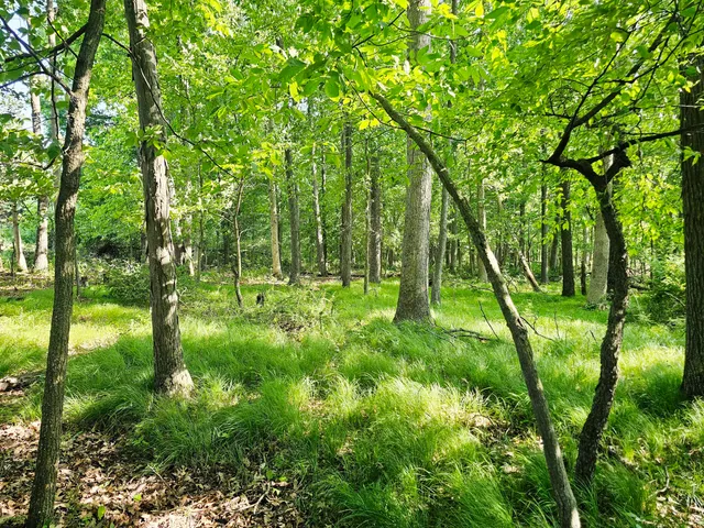 $379,900 | 9159 Moreland Road, Jerome, MI 49249