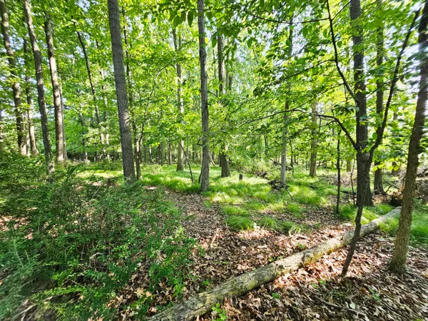 $372,900 | 9159 Moreland Road, Jerome, MI 49249