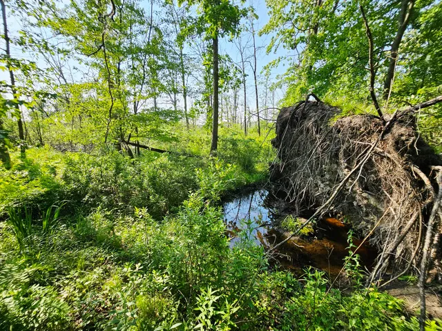 $379,900 | 9159 Moreland Road, Jerome, MI 49249