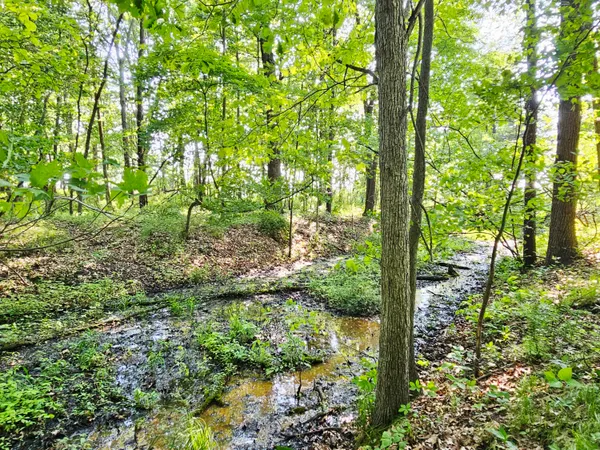 $372,900 | 9159 Moreland Road, Jerome, MI 49249