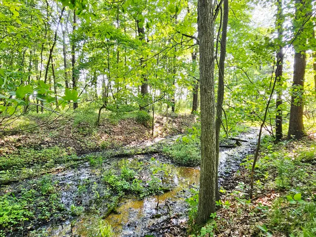 $379,900 | 9159 Moreland Road, Jerome, MI 49249