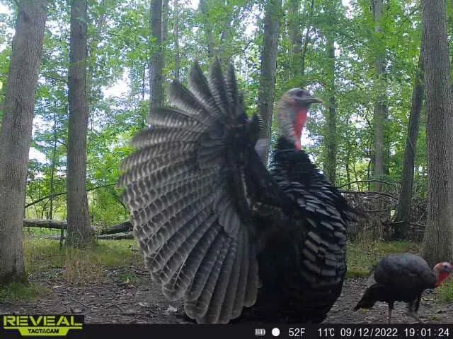 $379,900 | 9159 Moreland Road, Jerome, MI 49249