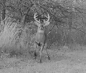 $372,900 | 9159 Moreland Road, Jerome, MI 49249