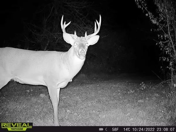 $372,900 | 9159 Moreland Road, Jerome, MI 49249