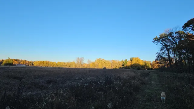 $379,900 | 9159 Moreland Road, Jerome, MI 49249