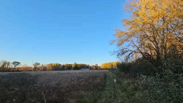 $379,900 | 9159 Moreland Road, Jerome, MI 49249