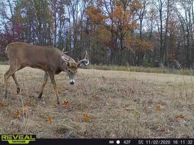 $379,900 | 9159 Moreland Road, Jerome, MI 49249