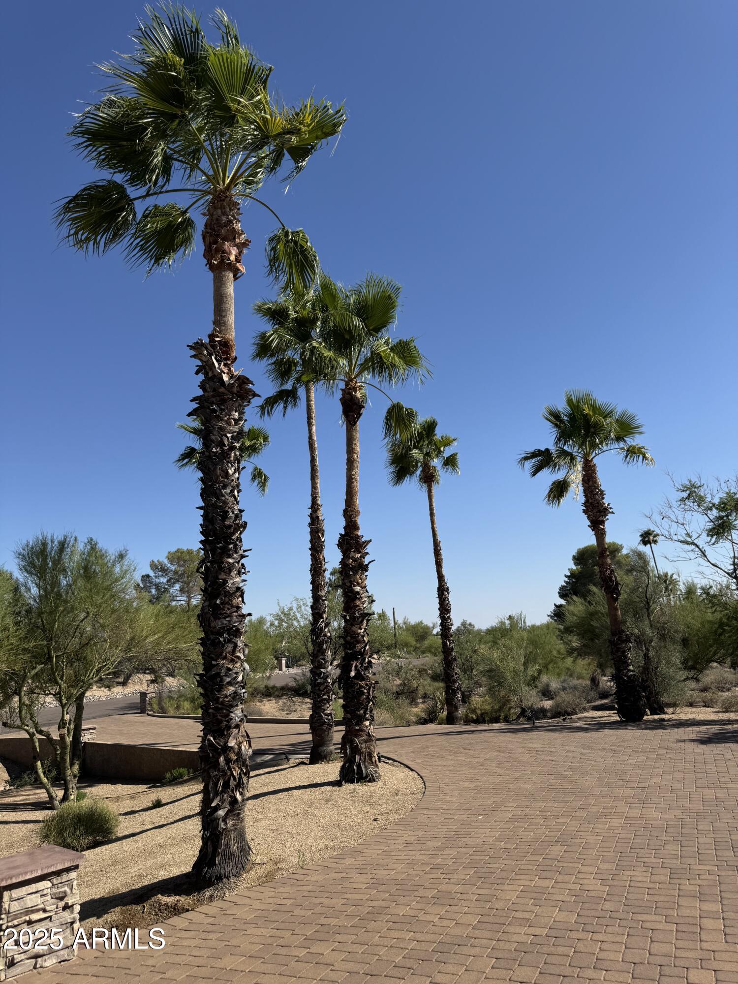 36618 Wild Flower Road Carefree, AZ 85377 - Photo 2 of 60 10 TOWERING PALMS!