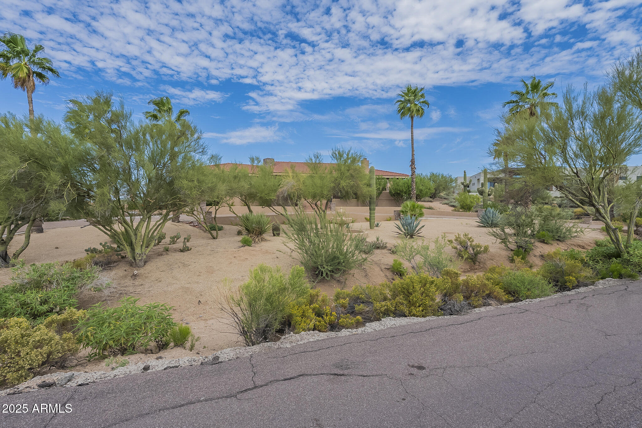 36618 Wild Flower Road Carefree, AZ 85377 - Photo 6 of 60 Gorgeous Landscaping!