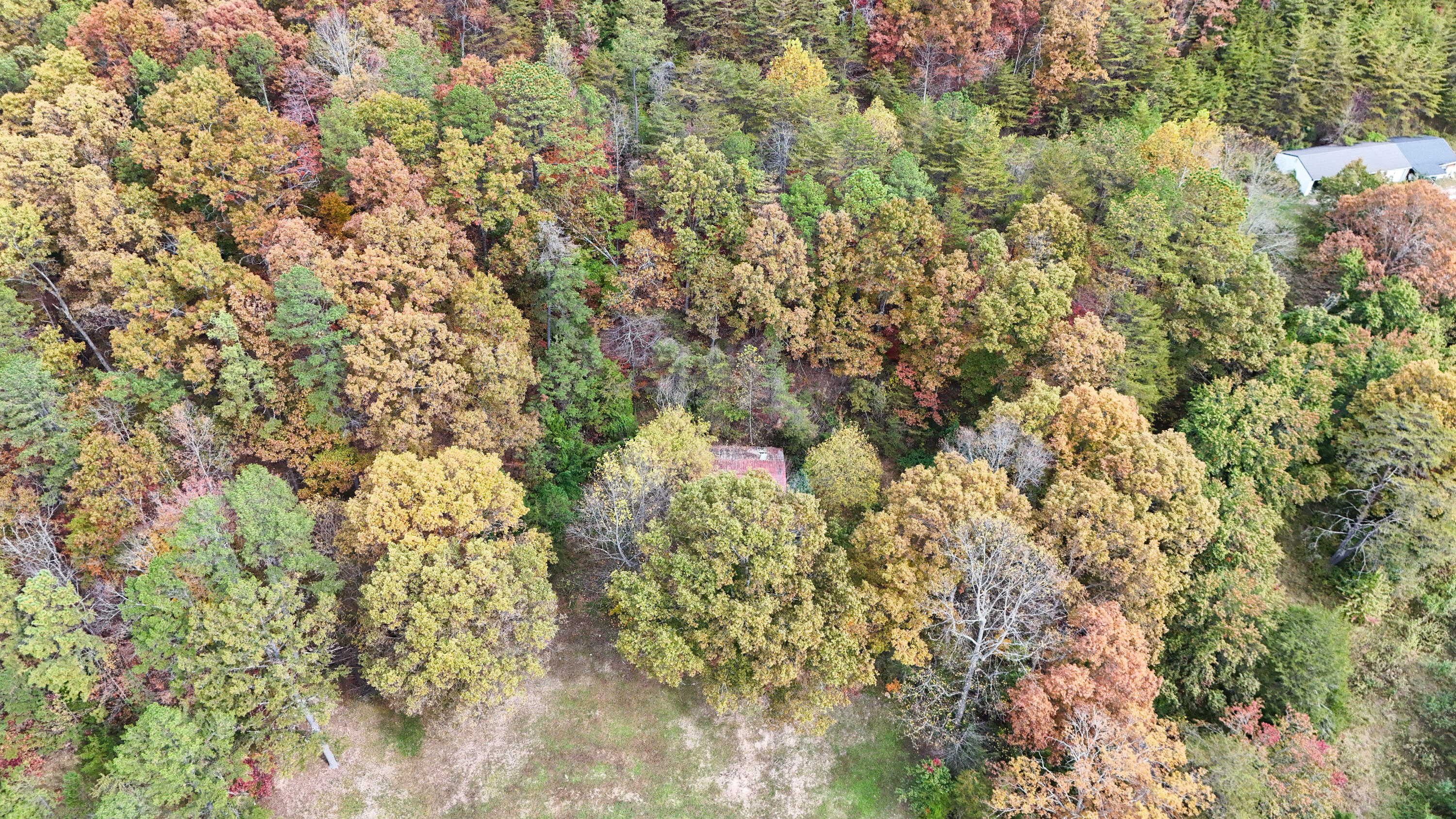 999 South Wilderness Road Mount Vernon, KY 40456 - Photo 6 of 19 Photo Oct 26 2025, 1 10 04 PM
