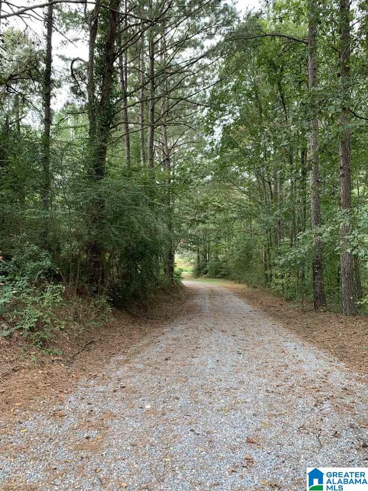 5055 Reeder Road Dora, AL 35062 - Photo 30 of 33