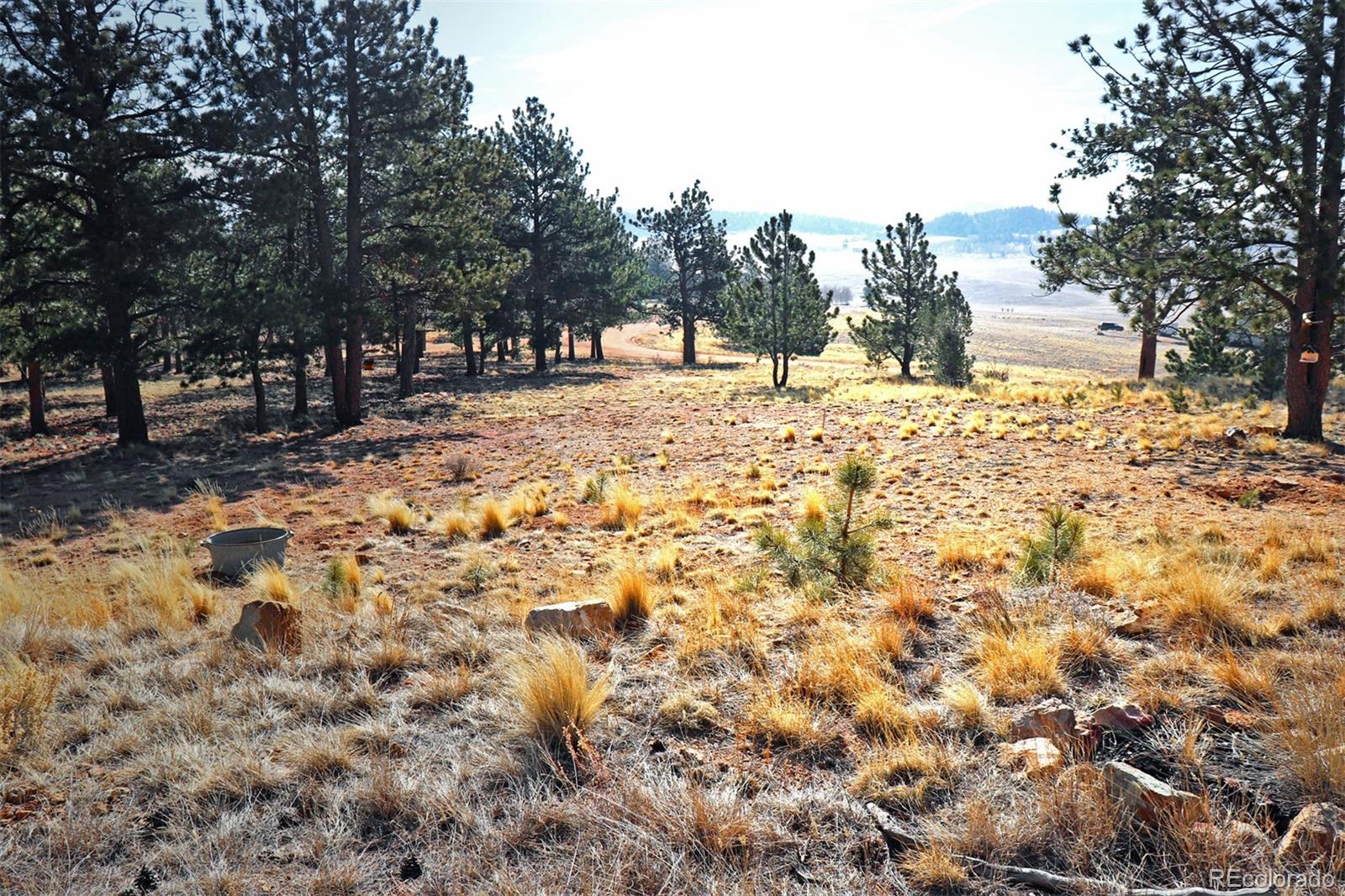 362 Wagon Wheel Road Hartsel, CO 80449 - Photo 30 of 34 Gallery Image 30