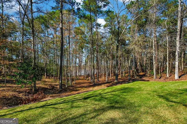 a view of a lake with a mountain