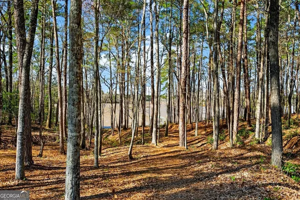 an aerial view of a house with a yard and lake view