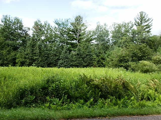 W6530 Old 182 Road Park Falls, WI 54552 - Photo 17 of 22 Gallery Image 17