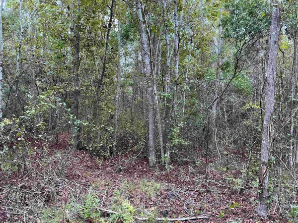 $55,000 | Tbd South Salt Road, Monticello, FL 32344