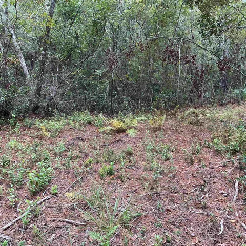 $57,056 | Tbd South Salt Road, Monticello, FL 32344