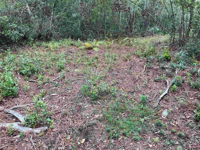 $57,056 | Tbd South Salt Road, Monticello, FL 32344