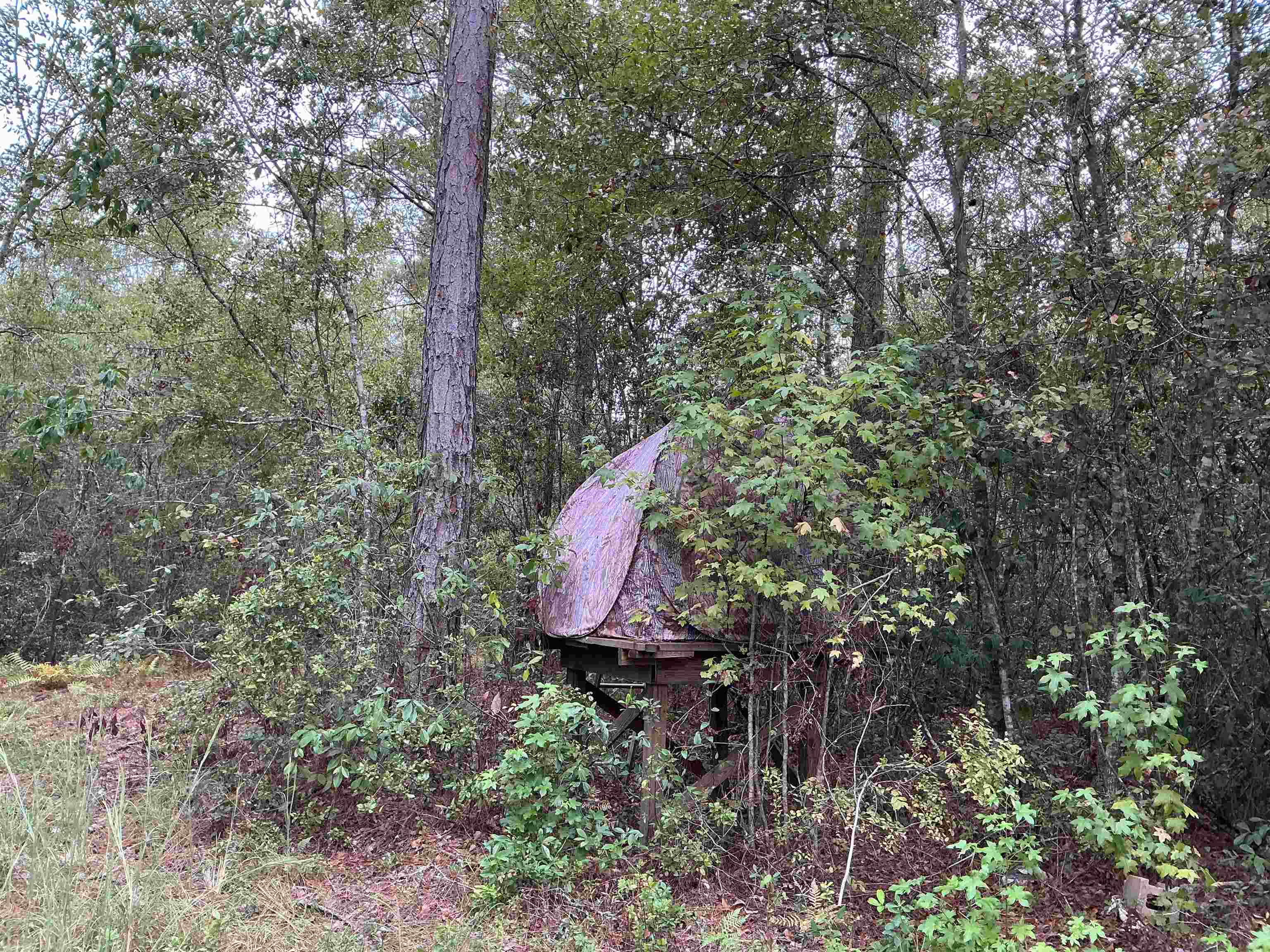 Tbd South Salt Road Monticello, FL 32344 - Photo 16 of 28