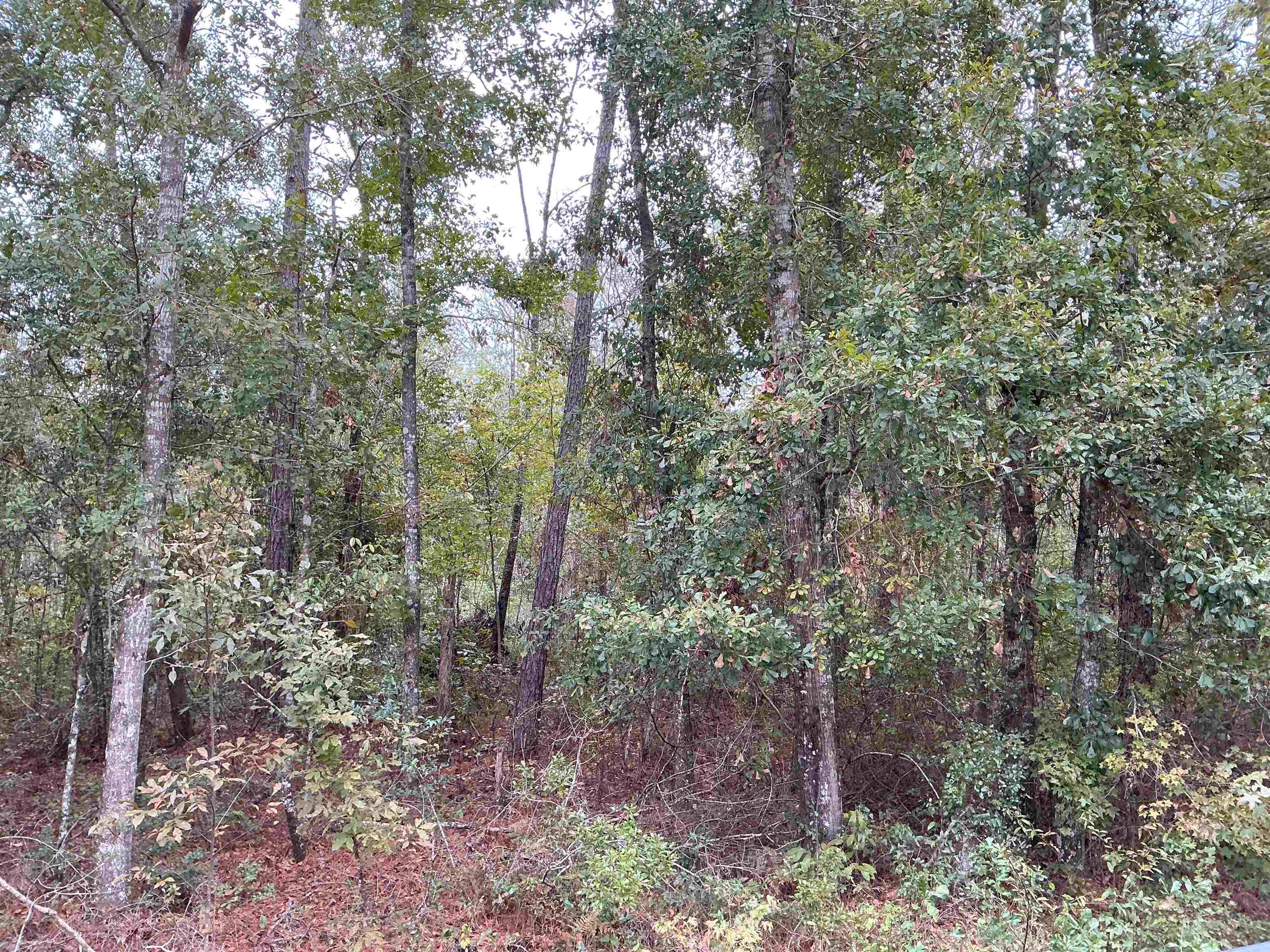 Tbd South Salt Road Monticello, FL 32344 - Photo 17 of 28