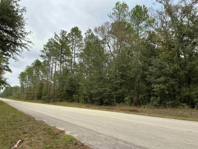 $57,056 | Tbd South Salt Road, Monticello, FL 32344