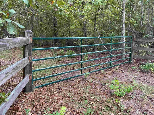 $57,056 | Tbd South Salt Road, Monticello, FL 32344