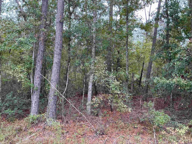 $57,056 | Tbd South Salt Road, Monticello, FL 32344