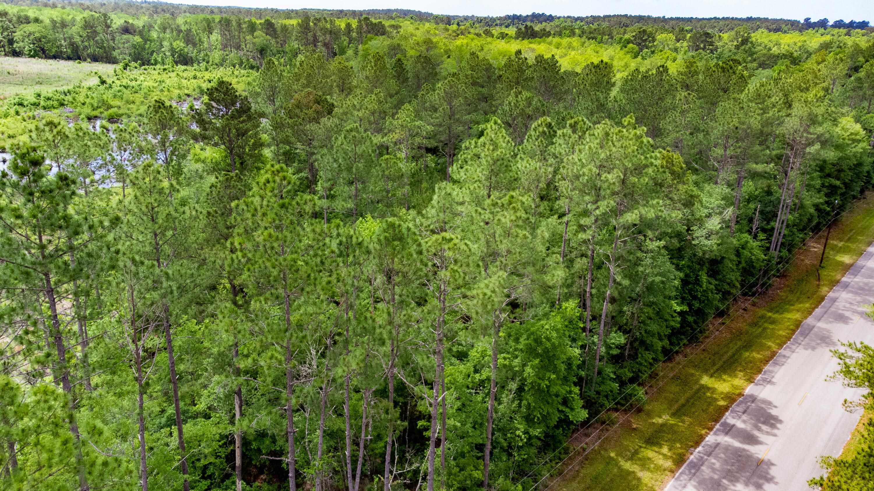 Tbd South Salt Road Monticello, FL 32344 - Photo 2 of 28