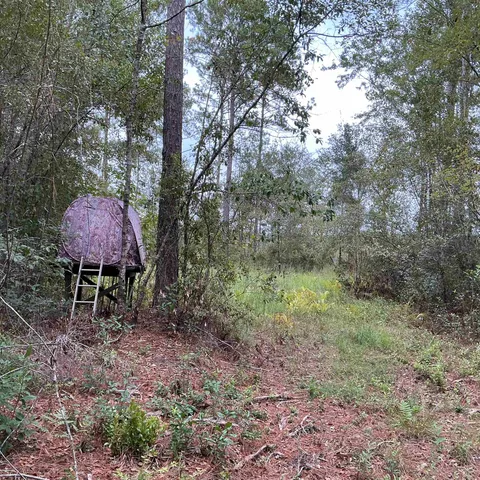 $57,056 | Tbd South Salt Road, Monticello, FL 32344