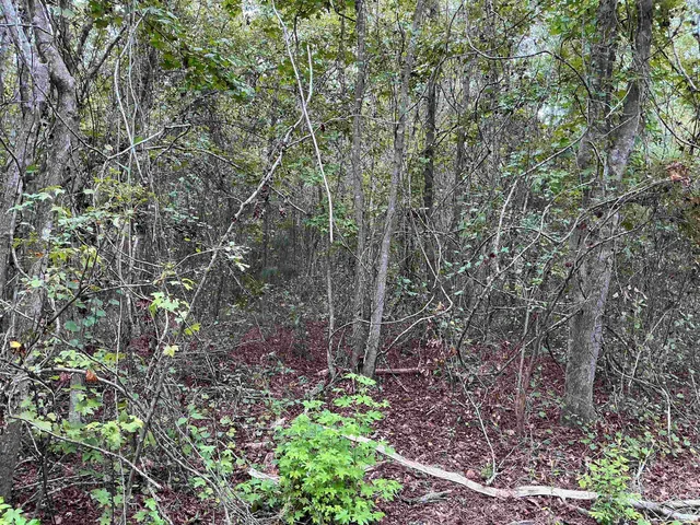 $57,056 | Tbd South Salt Road, Monticello, FL 32344