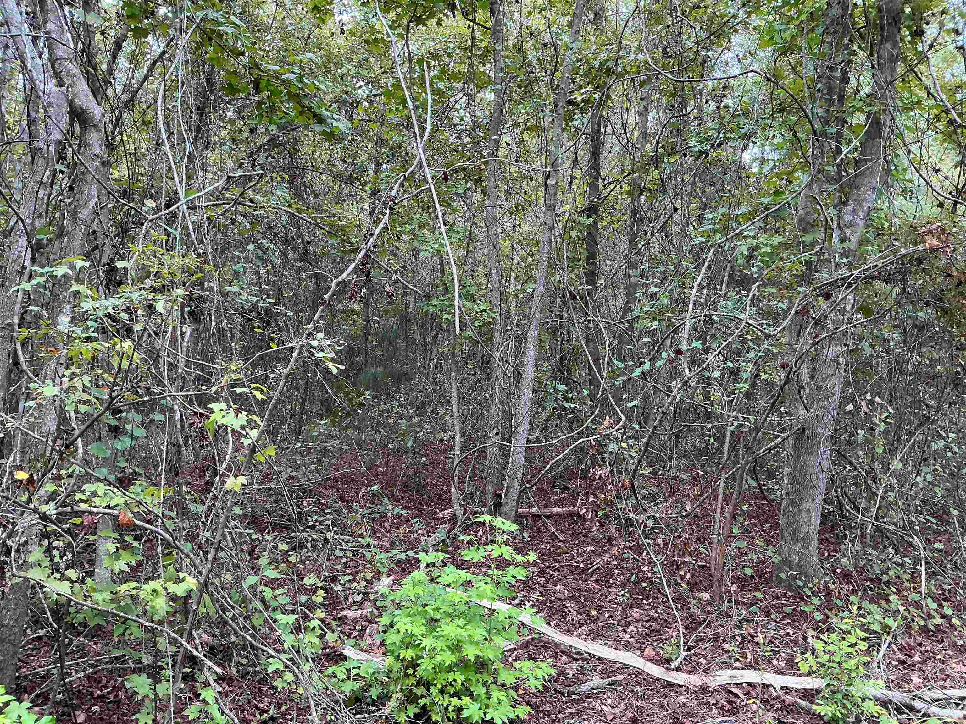 Tbd South Salt Road Monticello, FL 32344 - Photo 25 of 28