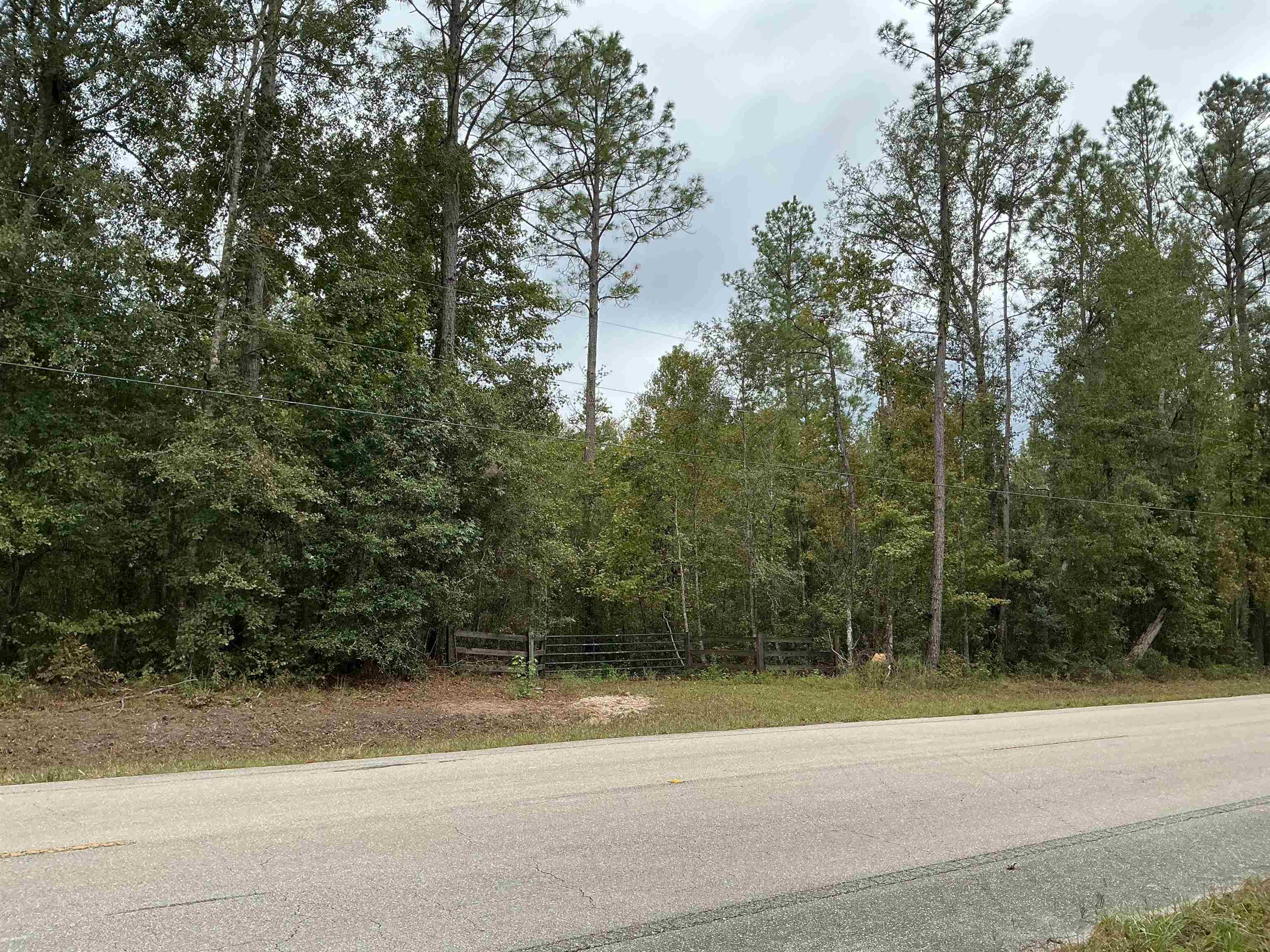 Tbd South Salt Road Monticello, FL 32344 - Photo 27 of 28