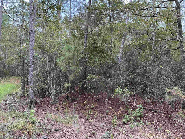 $57,056 | Tbd South Salt Road, Monticello, FL 32344