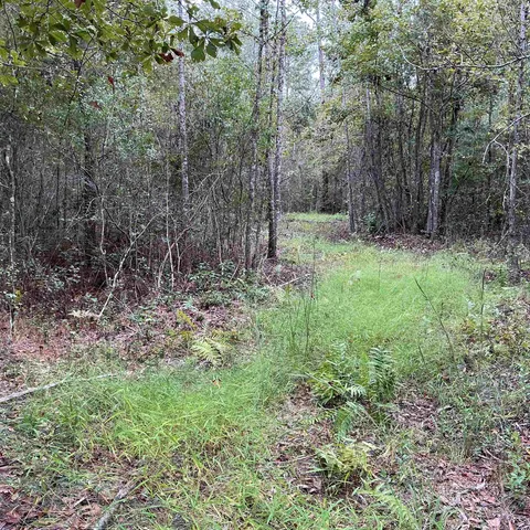 $57,056 | Tbd South Salt Road, Monticello, FL 32344