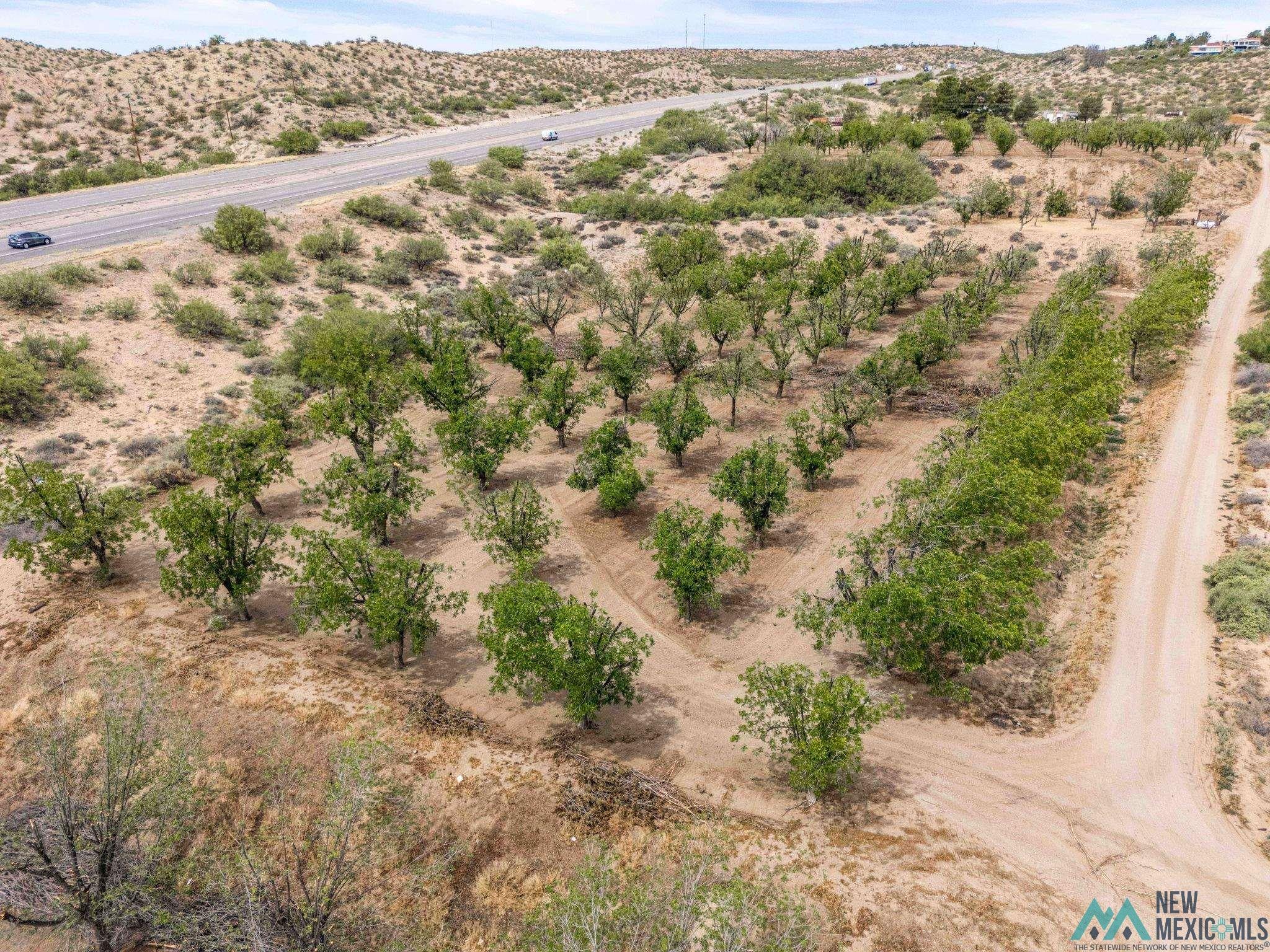 201 Squirrel Road Las Cruces, NM 88007 - Photo 5 of 25 Gallery Image 5
