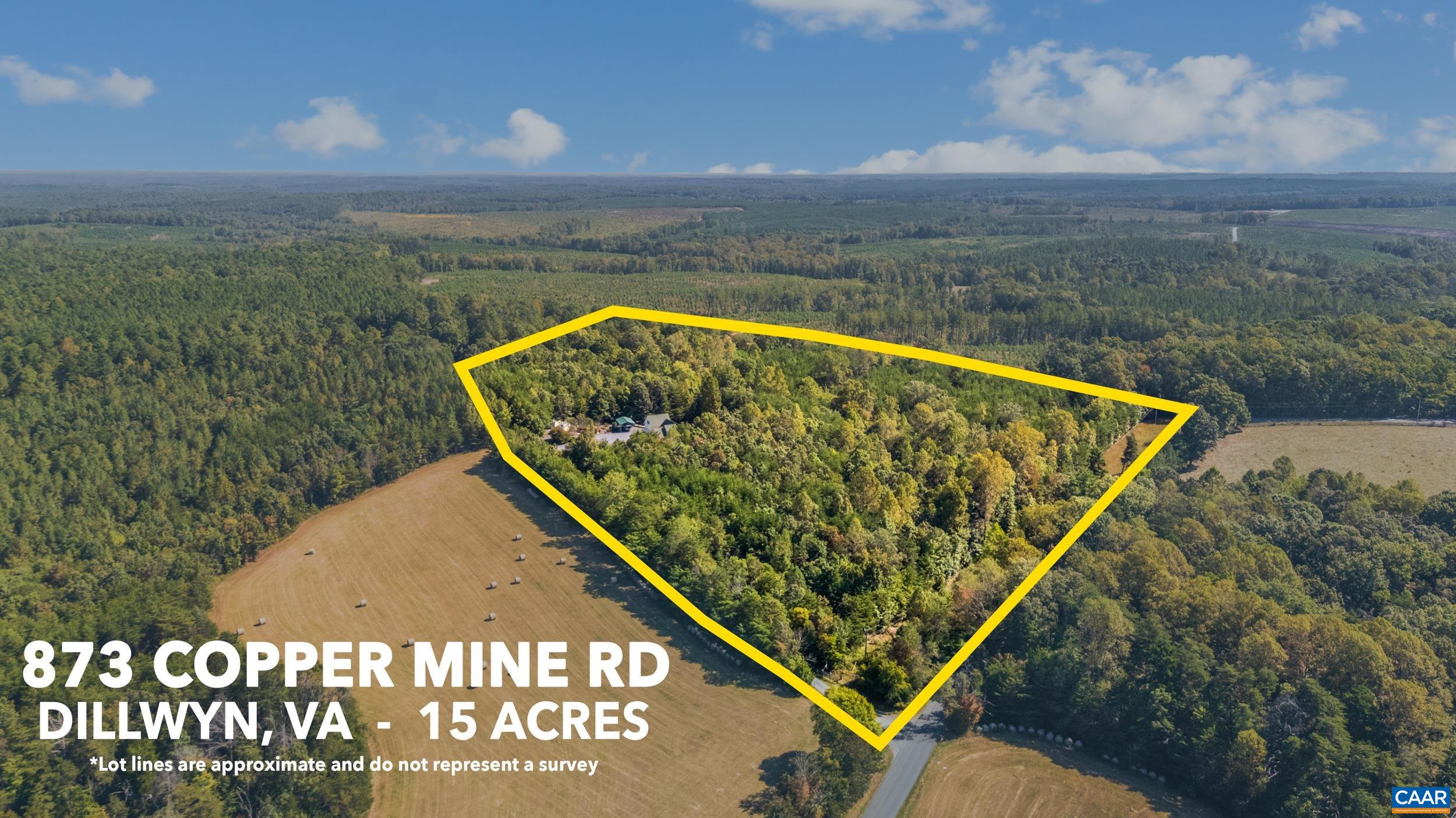 873 Copper Mine Road Dillwyn, VA 23936 - Photo 40 of 49 a view of swimming pool with a lake view