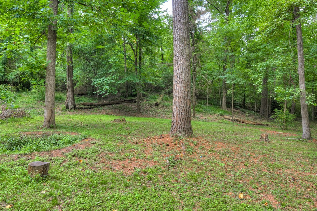 412 Bristol Road Martinez, GA 30907 - Photo 37 of 40
