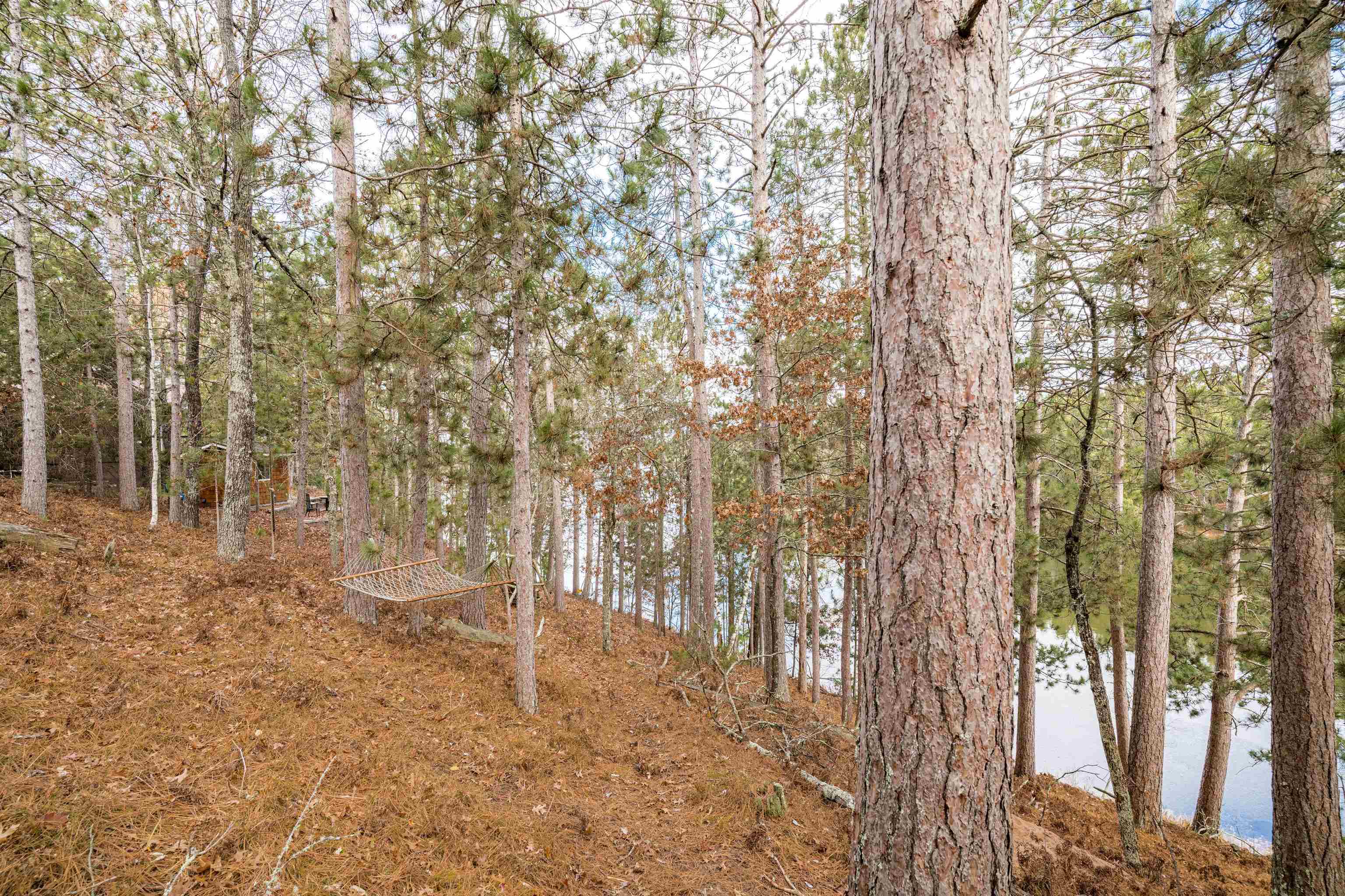 16656 South Eagle Point Road Wascott, WI 54859 - Photo 36 of 39