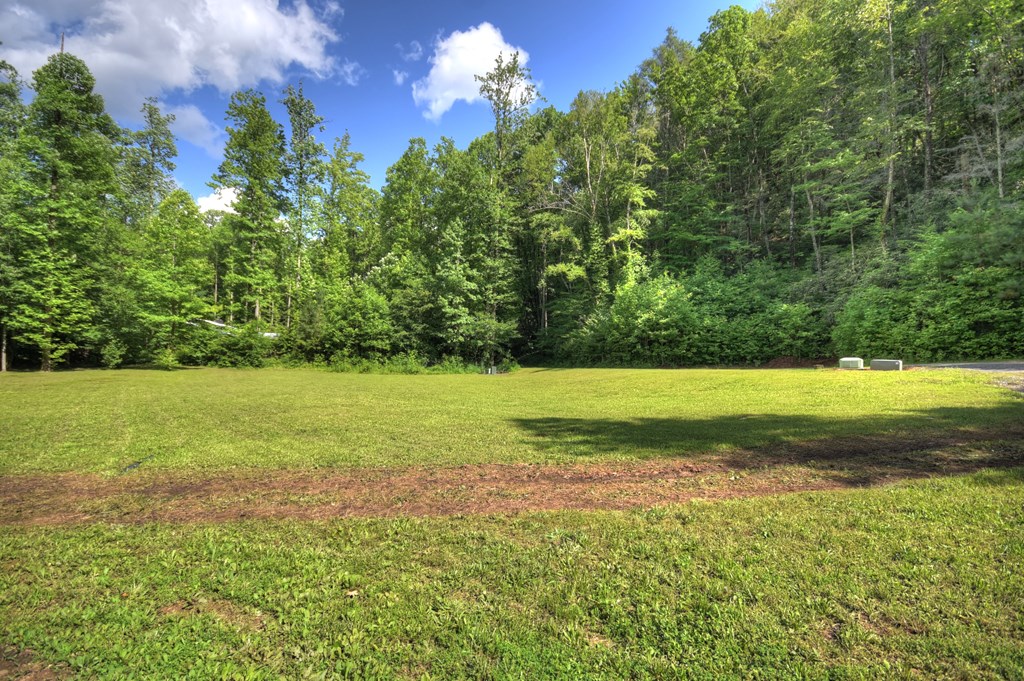4525 Gates Chapel Road Ellijay, GA 30540 - Photo 5 of 37 Gallery Image 5