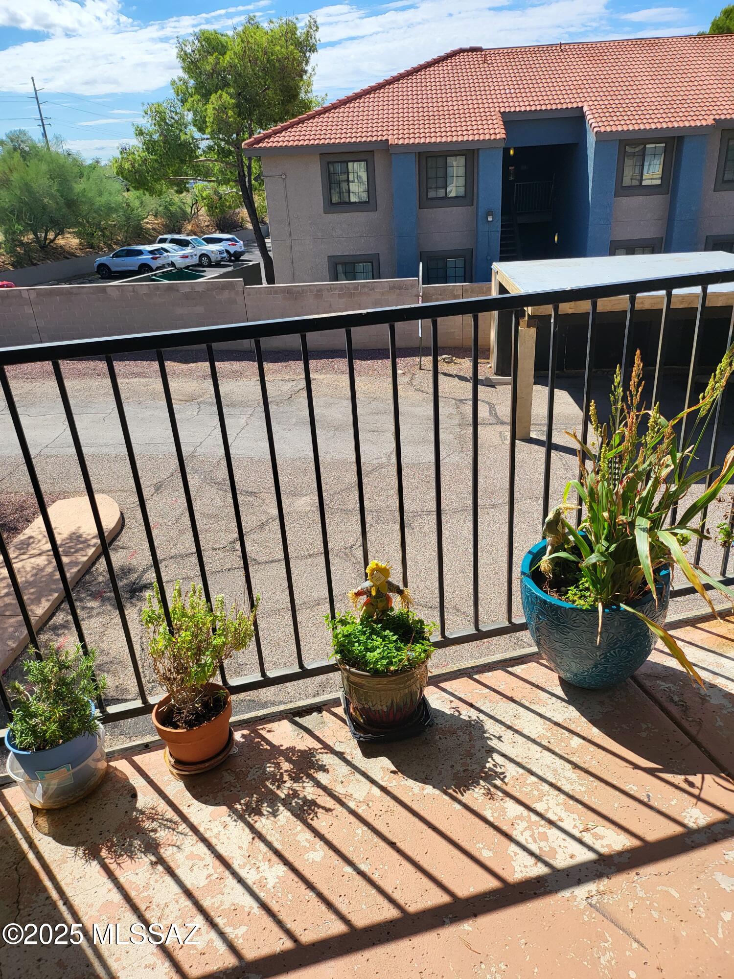 8255 North Oracle Road, Unit 203 Tucson, AZ 85704 - Photo 3 of 25 30b18fde-59fb-457f-bc68-6e3f1b69a762