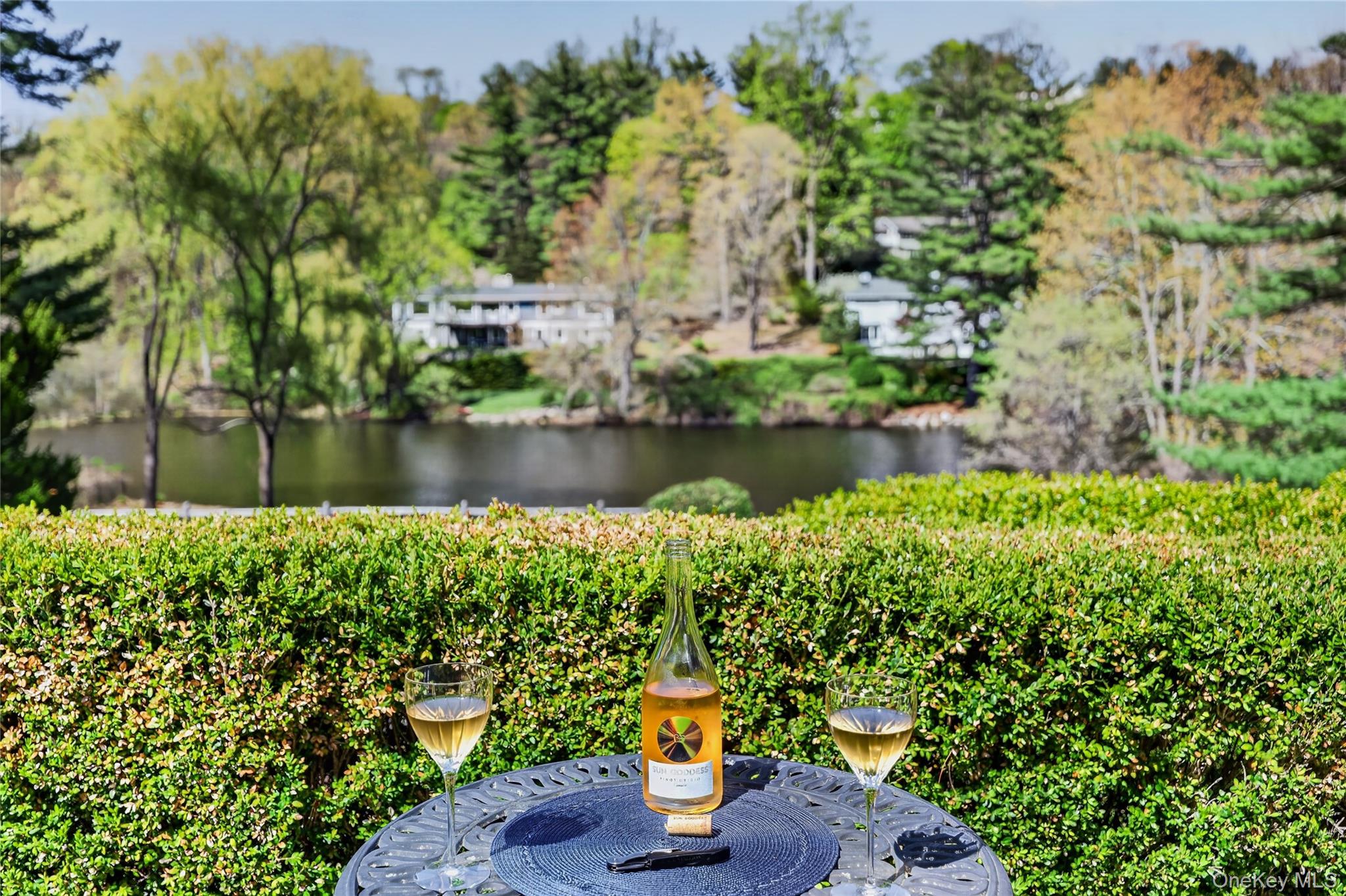 301 Bear Ridge Road Pleasantville, NY 10570 - Photo 36 of 48 Relax and unwind!