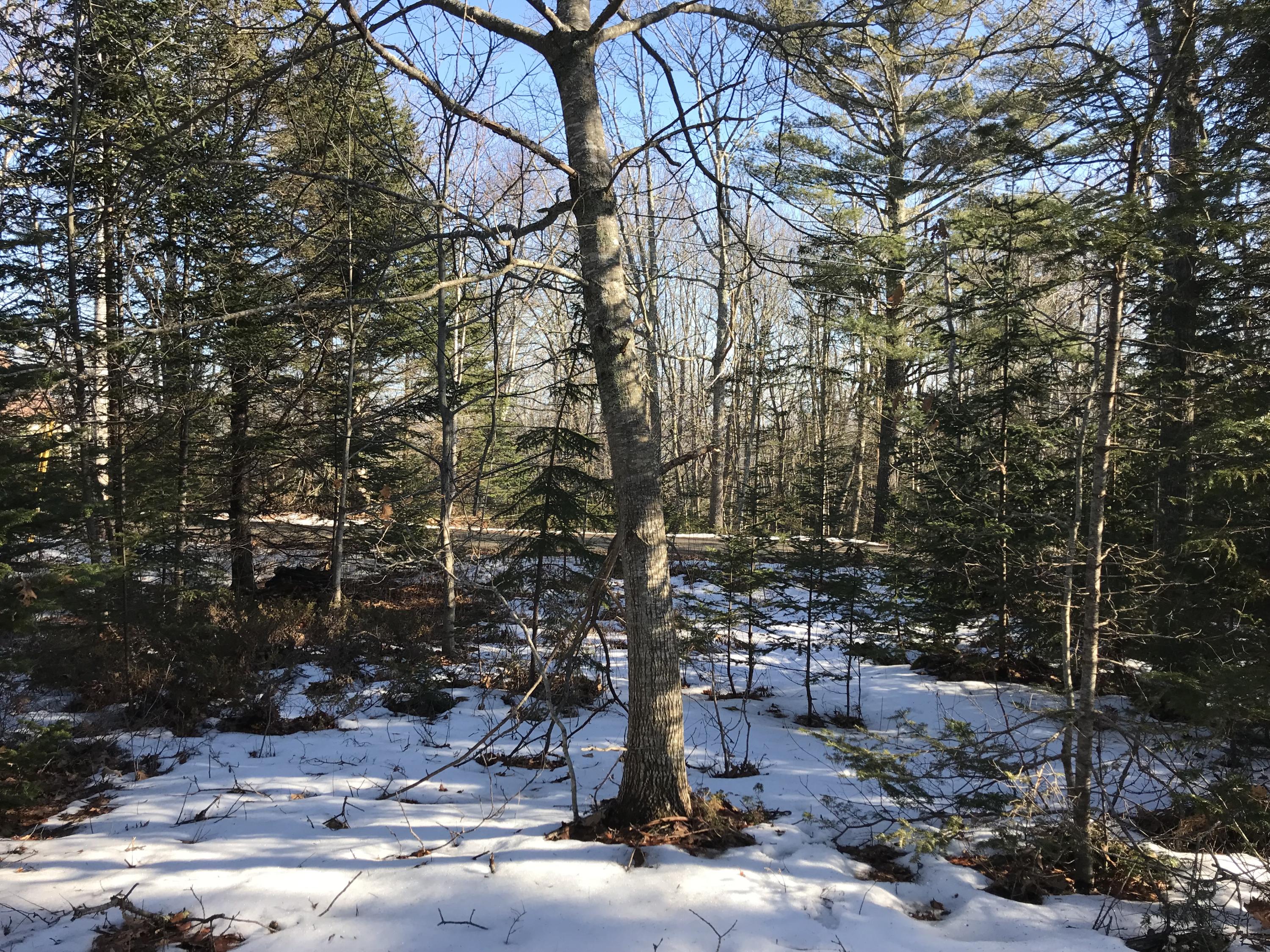 101 Old Mill Road Bristol, ME 04554 - Photo 1 of 7 IMG_3507