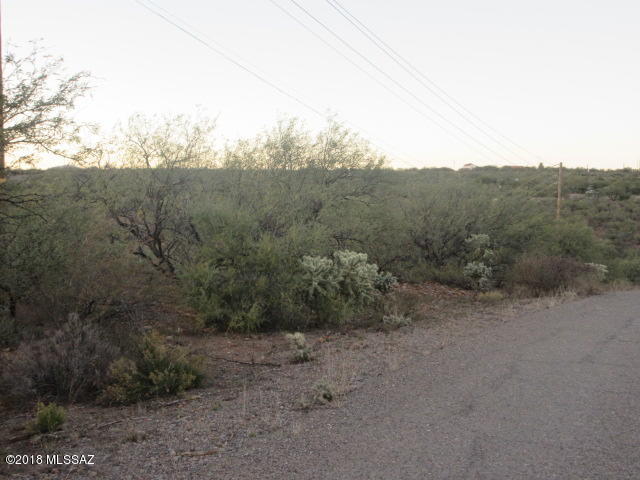 166 Camino Rumano, Unit 45 Rio Rico, AZ 85648 - Photo 8 of 10