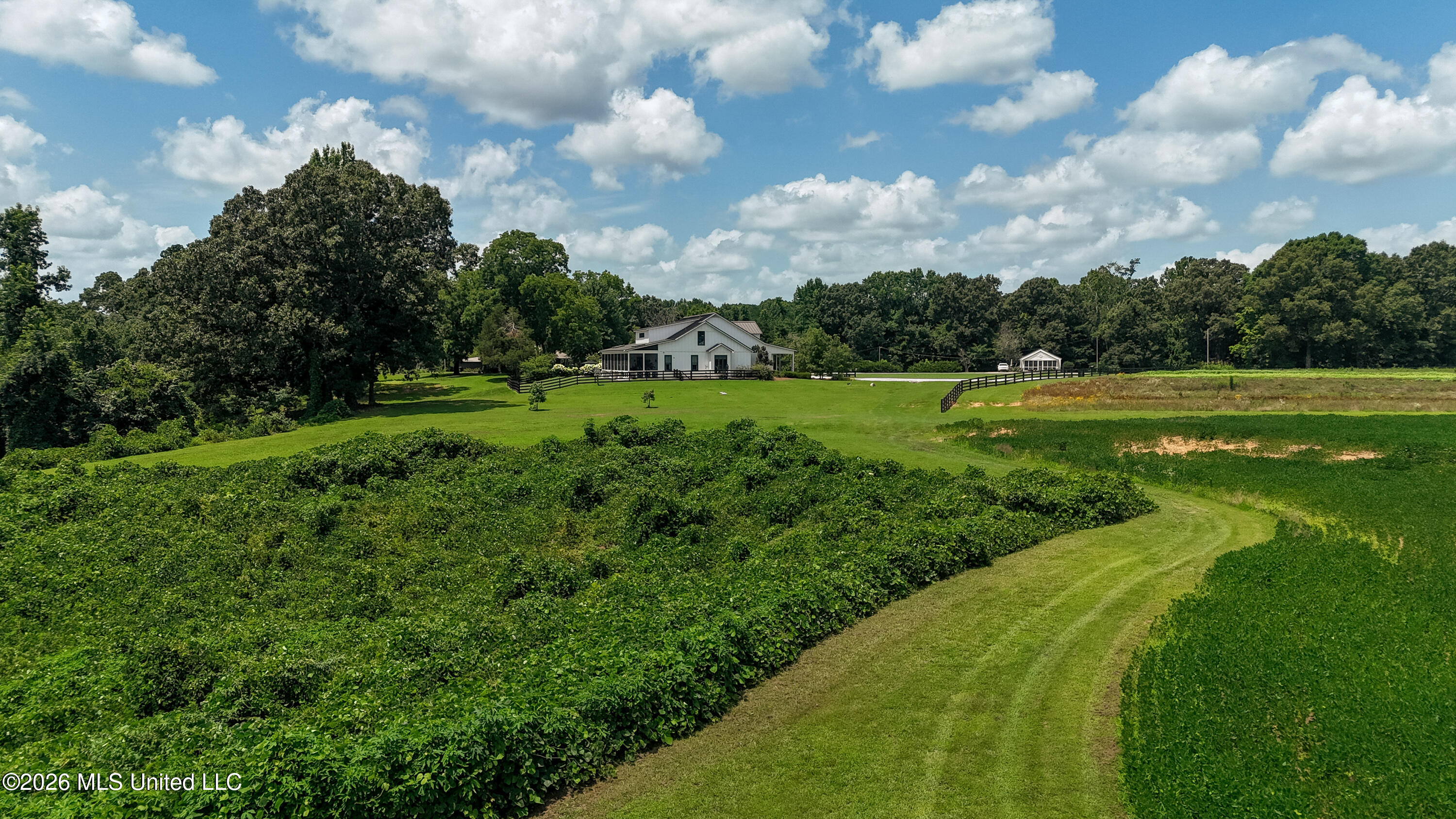 828 Little Egypt Road Ashland, MS 38603 - Photo 80 of 101 DJI_20260630121212_0361_D