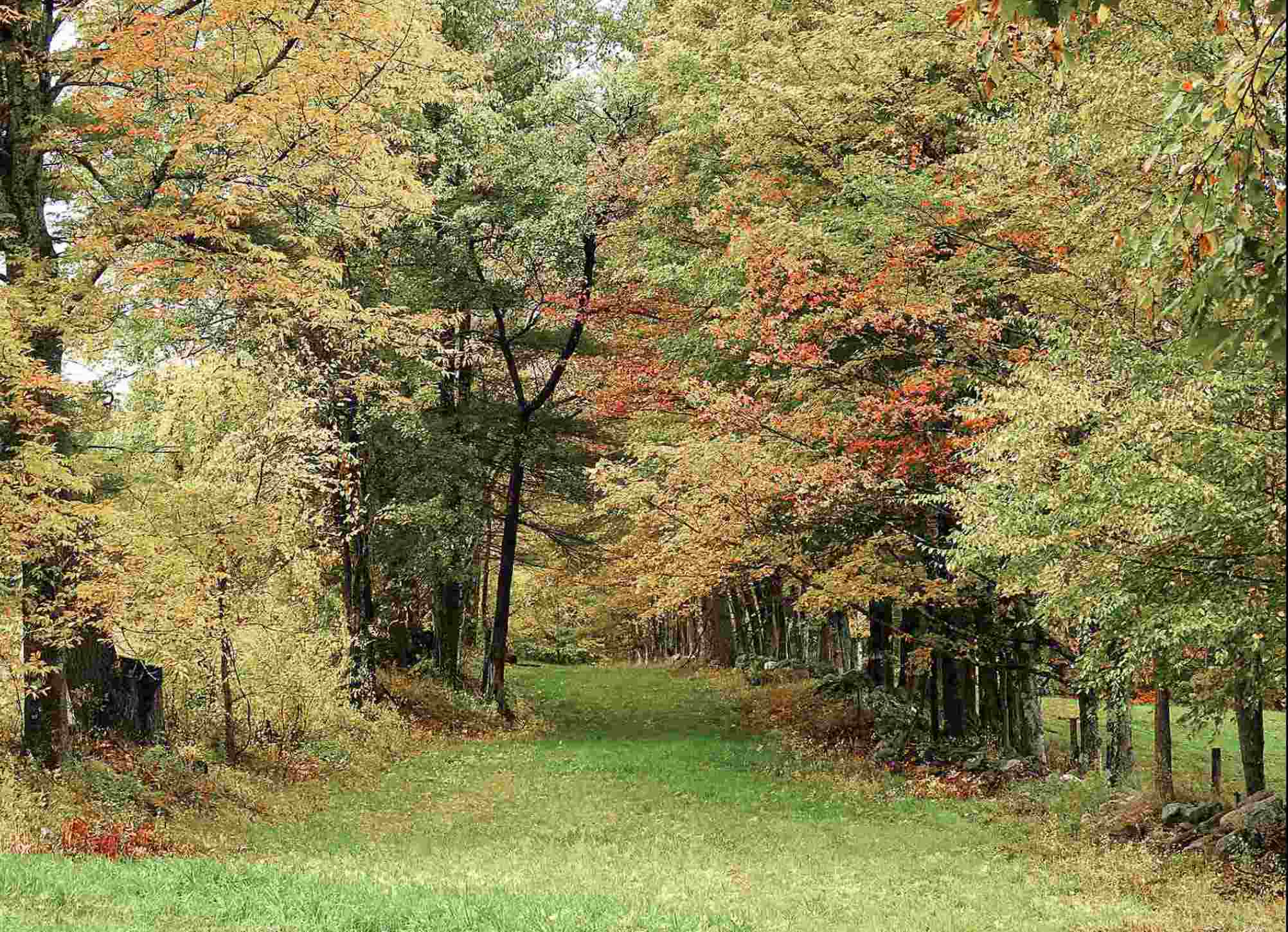 277 Park Laughton Road Dummerston, VT 05346 - Photo 40 of 40
