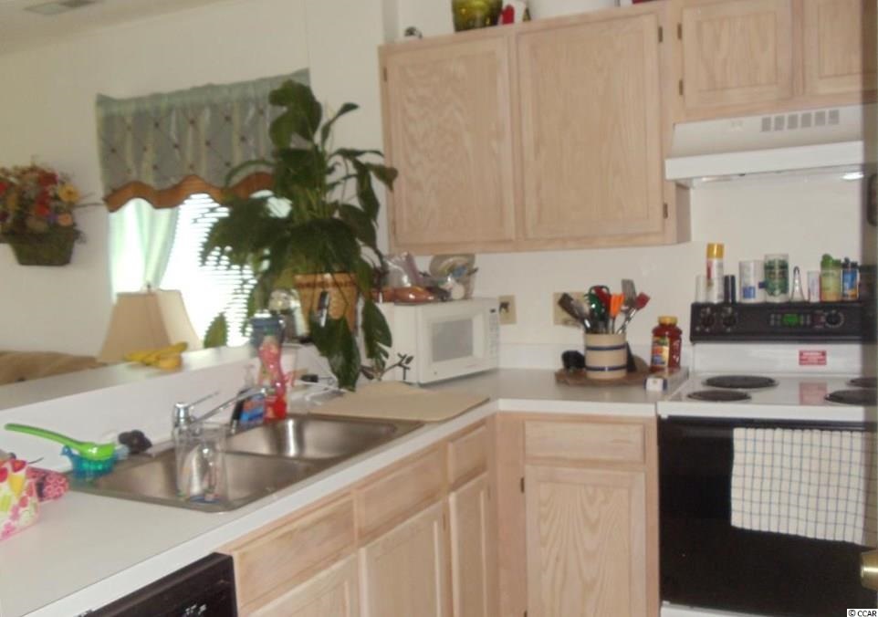 203 C Landing Road, Unit C North Myrtle Beach, SC 29582 - Photo 3 of 11 Gallery Image 3