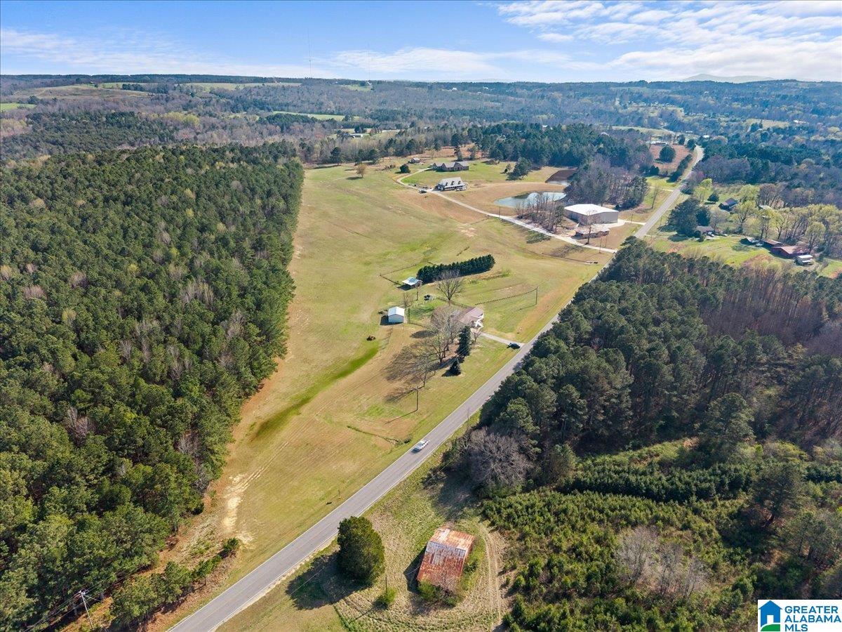 5743 County Highway 27 Springville, AL 35146 - Photo 5 of 46
