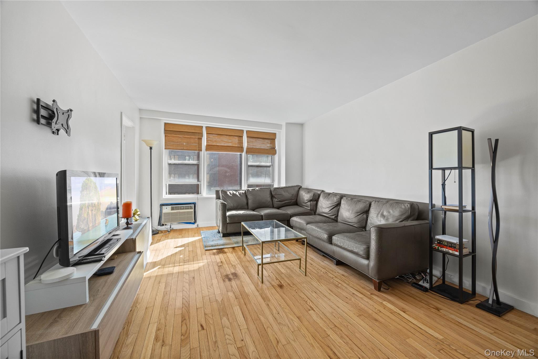 2736 Independence Avenue, Unit 4A Bronx, NY 10463 - Photo 19 of 31 a living room with furniture and a flat screen tv