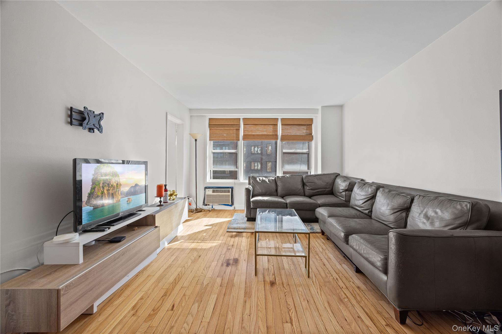 2736 Independence Avenue, Unit 4A Bronx, NY 10463 - Photo 20 of 31 a living room with furniture and a flat screen tv
