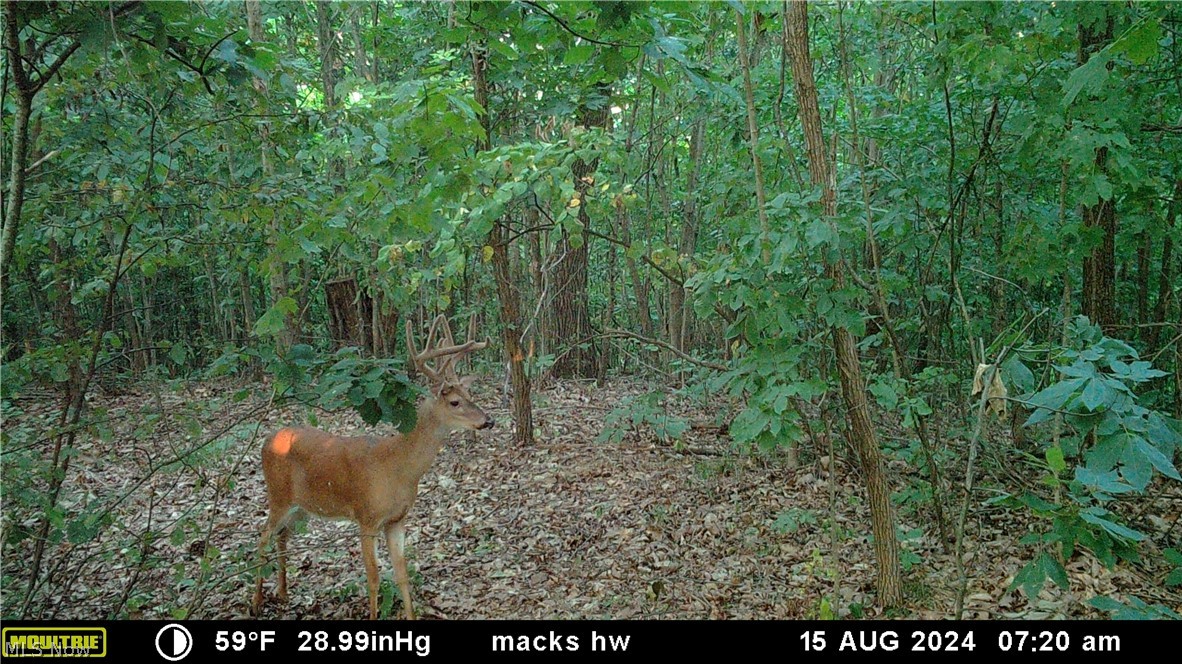 37500 Goose Run Road Dexter City, OH 45727 - Photo 48 of 50